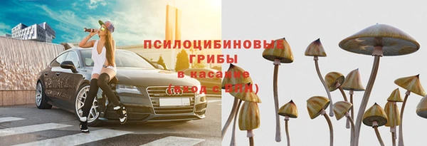 крисы Бугульма