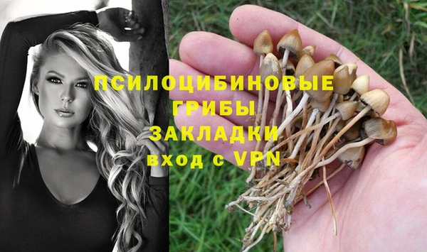 MDMA Premium VHQ Бородино