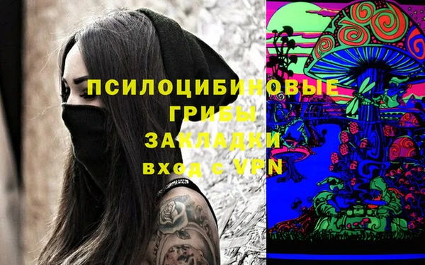 крисы Бугульма