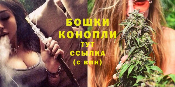 крисы Бугульма