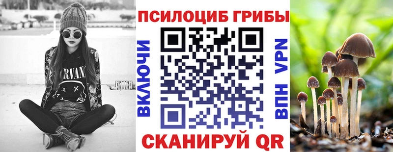 Галлюциногенные грибы Magic Shrooms купить закладку Невельск